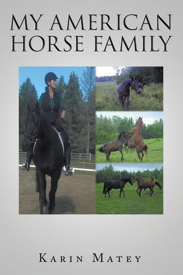 My American Horse Family Matey Karin