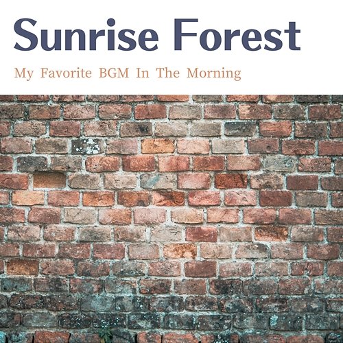 My Favorite Bgm in the Morning Sunrise Forest