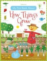My First Book About How Things Grow Brooks Felicity