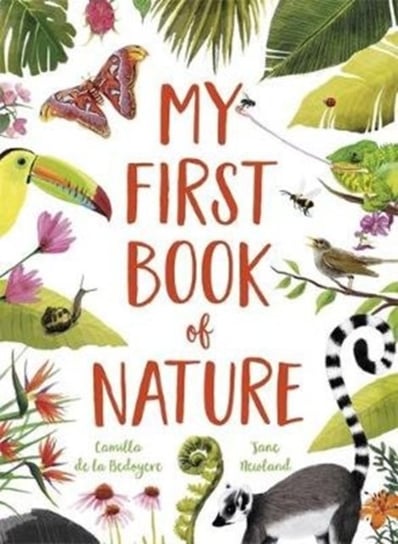 My First Book of Nature Camilla De La Bedoyere