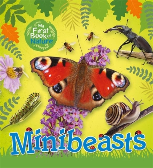 My First Book of Nature: Minibeasts Victoria Munson