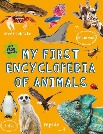 My First Encyclopedia of Animals Kingfisher