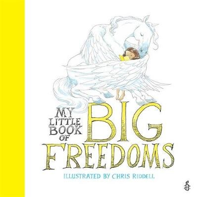 My Little Book of Big Freedoms: The Human Rights Act in Pictures Riddell Chris