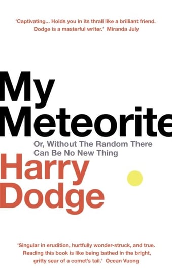 My Meteorite: Or, Without The Random There Can Be No New Thing Harry Dodge