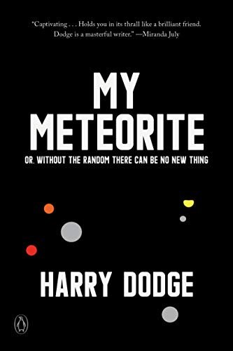 My Meteorite: Or, Without the Random There Can Be No New Thing Harry Dodge