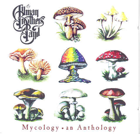 Mycology And Anthology The Allman Brothers Band