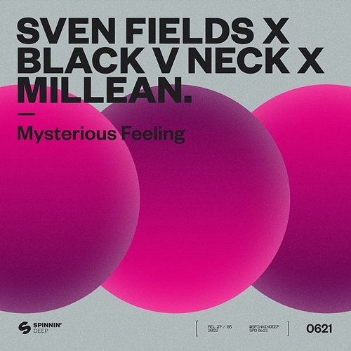 Mysterious Feeling Sven Fields x Black V Neck x Millean.