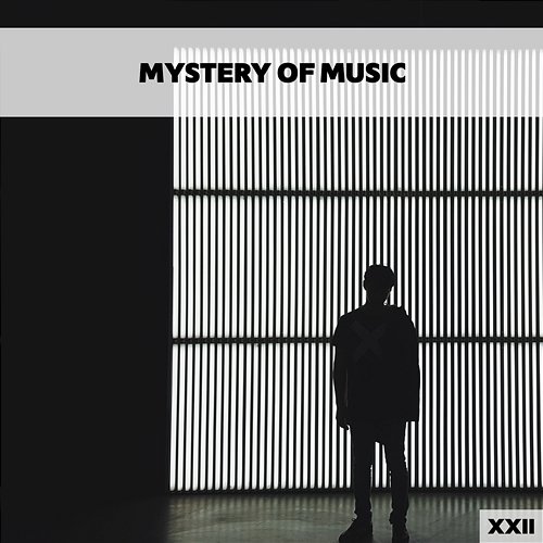 Mystery Of Music XXII Various Artists