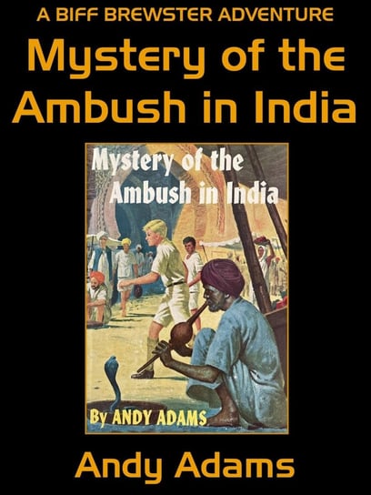 Mystery of the Ambush in India Andy Adams