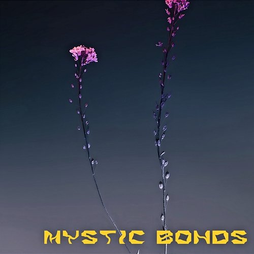 Mystic Bonds Traci Claire