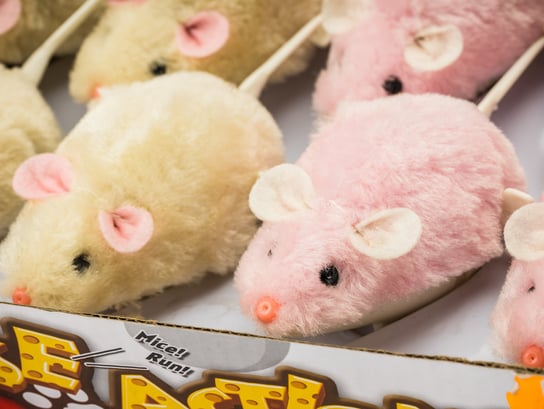 Mysz Nakręcana Myszka Zabawka Dla Dzieci Kota MEGA FUN