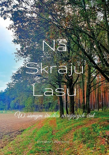 Na skraju lasu. W samym środku wirujących ciał - ebook epub Emilian Amore