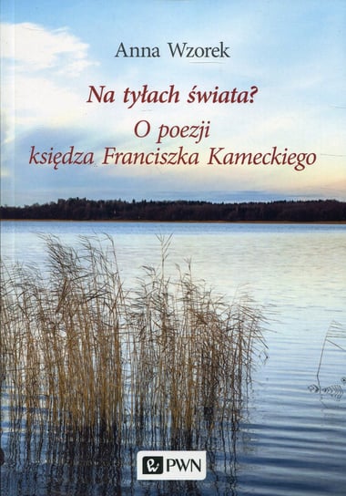 Na tyłach świata? O poezji księdza Franciszka Kameckiego Wzorek Anna