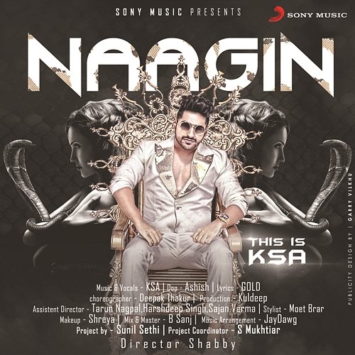 Naagin Karan Singh Arora