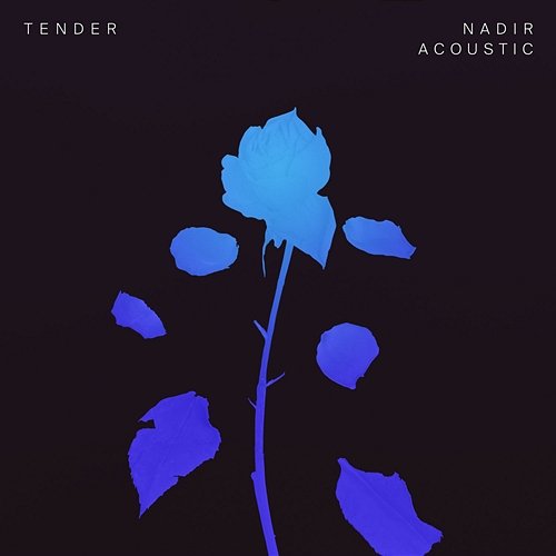Nadir Tender