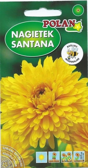 Nagietek Santana żółty 3 g POLAN Inna marka