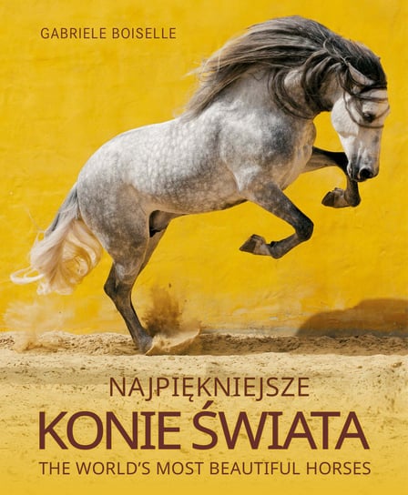 Najpiękniejsze konie świata Boiselle Gabriele