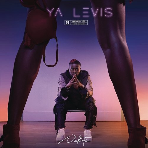 Nakati Ya Levis