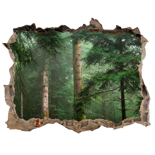 Naklejka fototapeta 3D na ścianę Mgła w lesie, Tulup Tulup