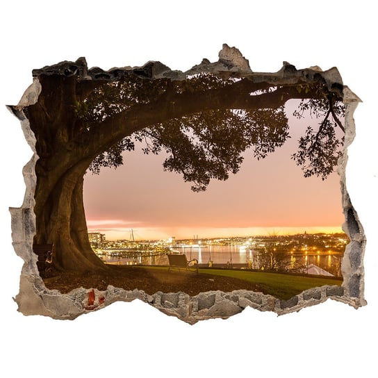 Naklejka fototapeta 3D na ścianę Stare drzewo, Tulup Tulup