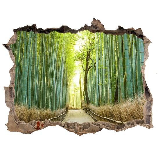Naklejka fototapeta 3D widok Bambusowy las 120x81, Tulup Tulup
