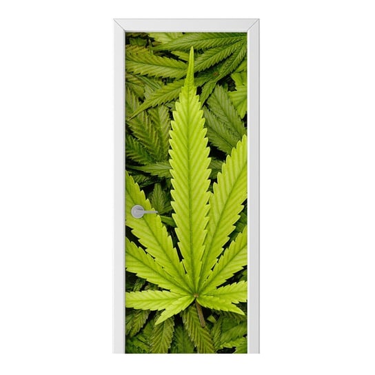Naklejka na drzwi HOMEPRINT Duże liście marihuany 85x205 cm HOMEPRINT