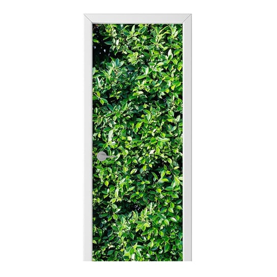 Naklejka na drzwi HOMEPRINT Ściana drzewa figowego 75x205 cm HOMEPRINT
