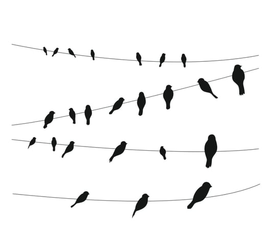 Naklejka na ścianą ptaki na linach drutach 200cm dekochmurka