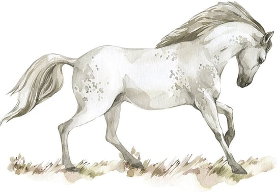 Naklejka na ścianę - biały koń MagicalRoom