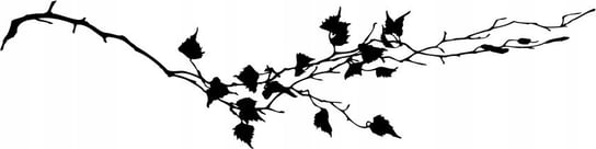 Naklejka na ścianę gałązka brzozy brzoza Bluszcz, 120x30 cm Naklejkolandia