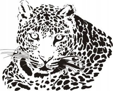 Naklejka na ścianę gepard - Dzikie koty 18, 58x48 cm Naklejkolandia