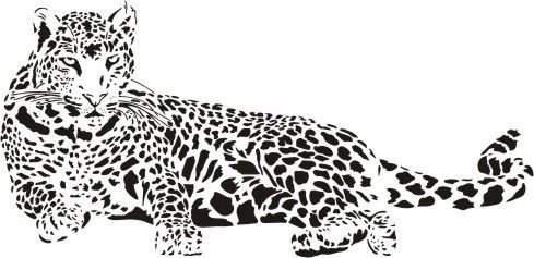 Naklejka na ścianę gepard - Dzikie koty 19, 100x48 cm Naklejkolandia