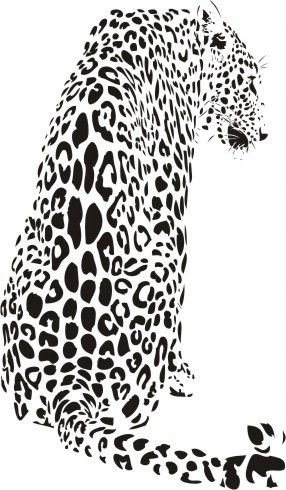 Naklejka na ścianę lampart - Dzikie koty 21, 80x48 cm Naklejkolandia
