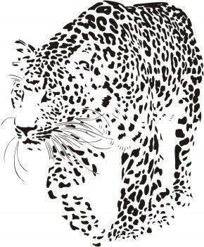 Naklejka na ścianę leopard - Dzikie koty 17, 58x48 cm Naklejkolandia