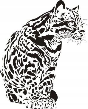 Naklejka na ścianę ocelot - Dzikie koty 16, 60x48 cm Naklejkolandia
