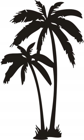 Naklejka na ścianę palma tropikalna drzewa Palmy, 100x60 cm Naklejkolandia