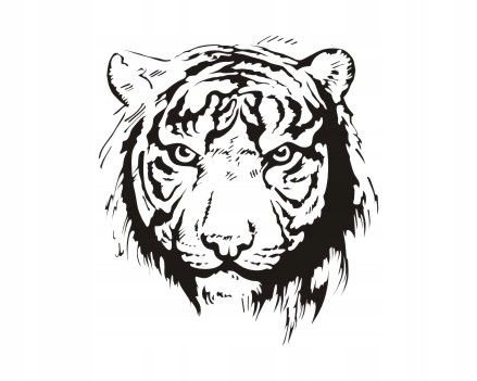 Naklejka na ścianę tygrys - Dzikie koty 10, 54x48 cm Naklejkolandia