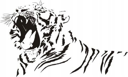 Naklejka na ścianę tygrys - Dzikie koty 12, 120x72 cm Naklejkolandia