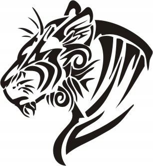 Naklejka na ścianę tygrys - Dzikie koty 15, 54x48 cm Naklejkolandia
