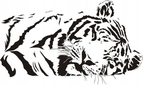 Naklejka na ścianę tygrys - Dzikie koty 20, 120x72 cm Naklejkolandia
