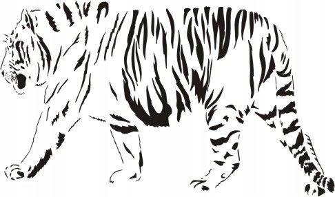 Naklejka na ścianę tygrys - Dzikie koty 29, 120x70 cm Naklejkolandia