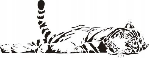 Naklejka na ścianę tygrys - Dzikie koty 3, 160x62 cm Naklejkolandia