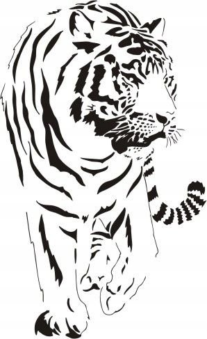 Naklejka na ścianę tygrys - Dzikie koty 5, 120x74 cm Naklejkolandia