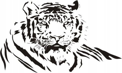 Naklejka na ścianę tygrys - Dzikie koty 7, 120x72 cm Naklejkolandia