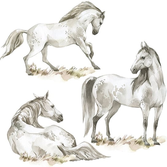 Naklejka na ścianę zwierzęta - dzikie konie MagicalRoom