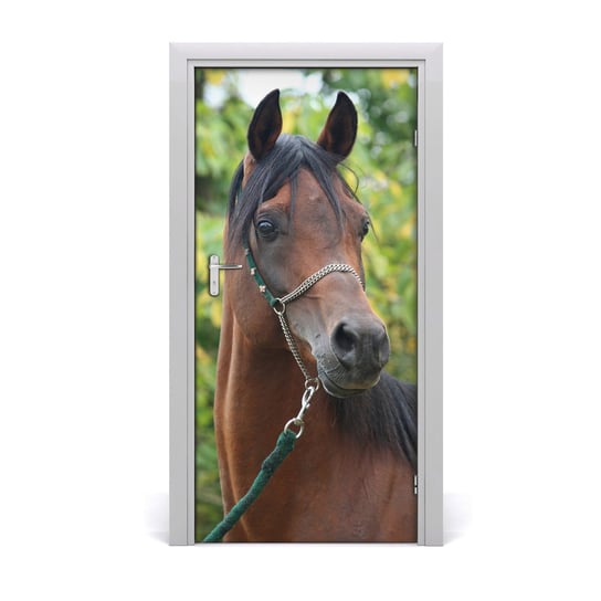 Naklejka samoprzylepna na drzwi Portret konia, Tulup Tulup