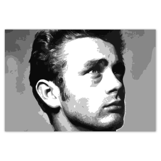 Naklejka ścienna 155x105 Aktor James Dean ZeSmakiem