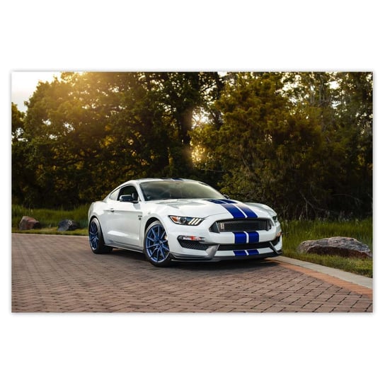 Naklejka ścienna 60x40 Sportowy Ford Mustang ZeSmakiem