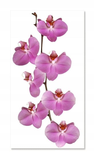 Naklejka ścienna kwiaty kwiatki 30cm Orchidea 2, 30x15 cm Naklejkolandia