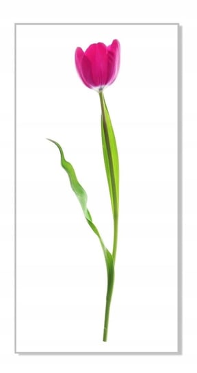 Naklejka ścienna kwiaty kwiatki 30cm Tulipan 11, 30x16 cm Naklejkolandia